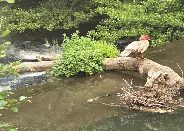 Eden De Roques ベッド・アンド・ブレックファスト 4*