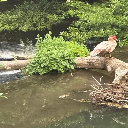 Eden De Roques Bed & Breakfast 4*